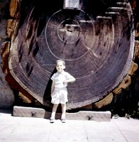 11 BrantonSlides_0009