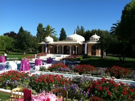 IMG_0045(1)
