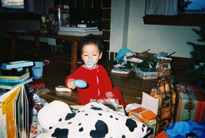 Jamie_hammer_cowpillow